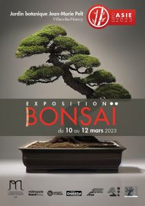 Exposition Bonsaï